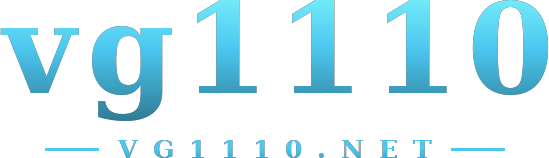 vg1110 logo